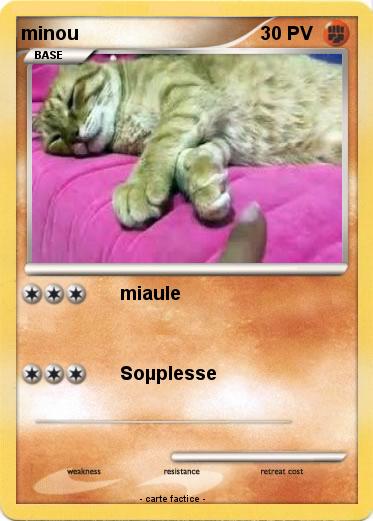 Pokemon minou