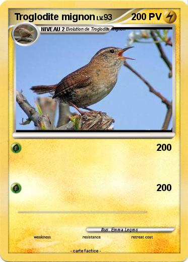 Pokemon Troglodite mignon