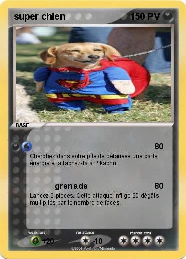 Pokemon super chien