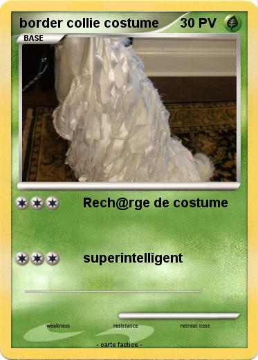 Pokemon border collie costume