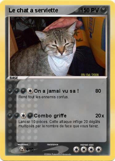 Pokemon Le chat a serviette 