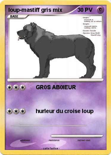 Pokemon loup-mastiff gris mix