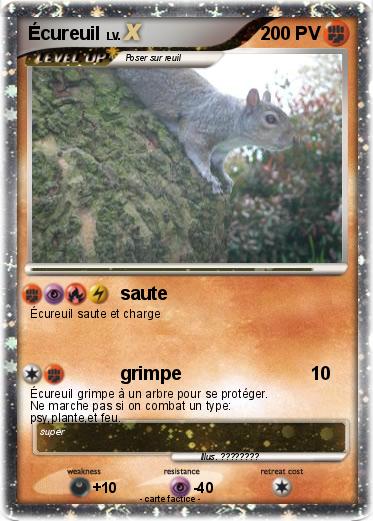 Pokemon Écureuil