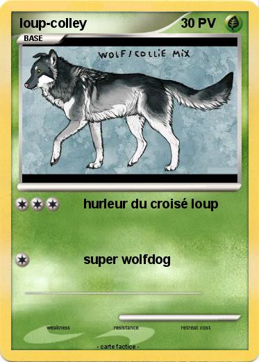 Pokemon loup-colley