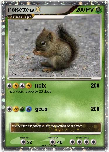 Pokemon noisette