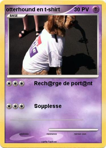Pokemon otterhound en t-shirt