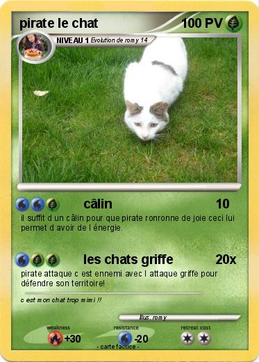 Pokemon pirate le chat
