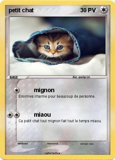 Pokemon petit chat