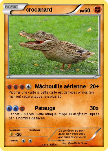 Pokemon crocanard