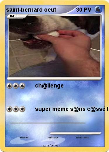 Pokemon saint-bernard oeuf