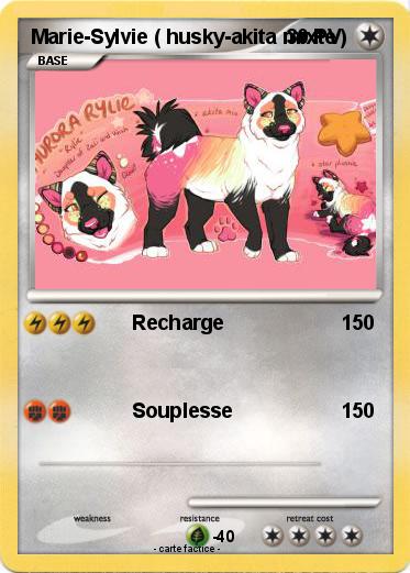 Pokemon Marie-Sylvie ( husky-akita mixte )