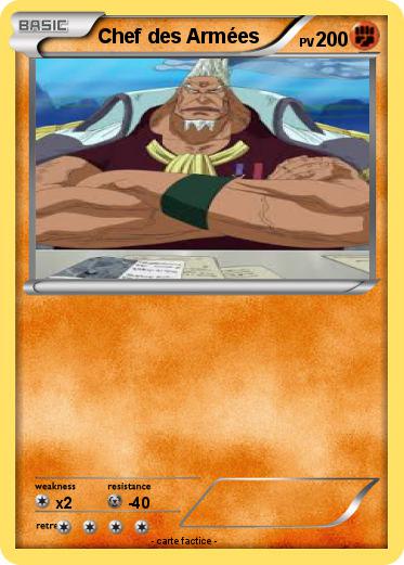 Pokemon Chef des Armées