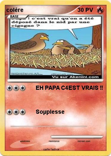 Pokemon colère