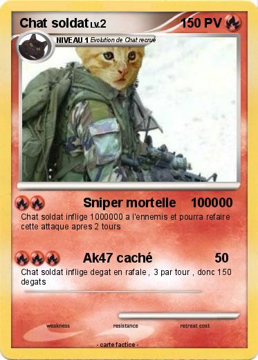 Pokemon Chat soldat
