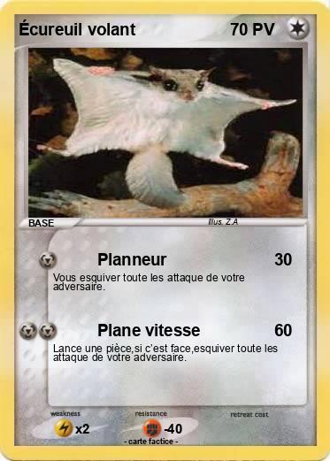 Pokemon Écureuil volant