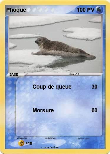 Pokemon Phoque