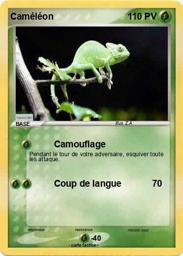 Pokemon Caméléon