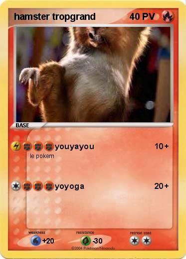 Pokemon hamster tropgrand