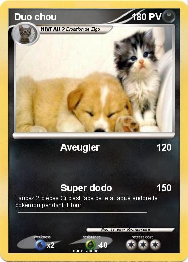 Pokemon Duo chou