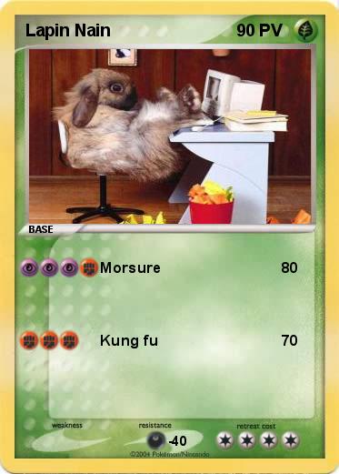 Pokemon Lapin Nain