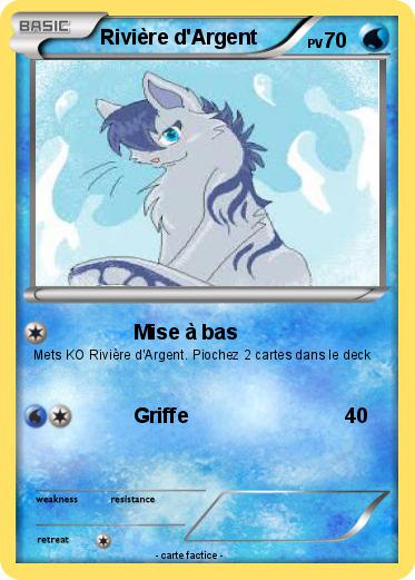 Pokemon Rivière d'Argent