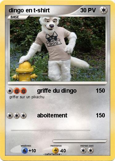 Pokemon dingo en t-shirt