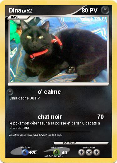 Pokemon Dina