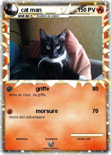 Pokemon cat man