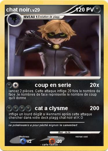Pokemon chat noir