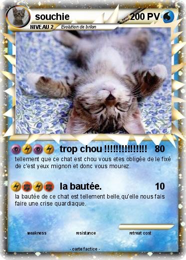 Pokemon souchie