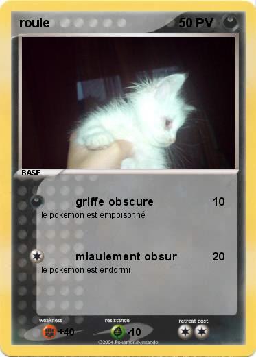 Pokemon roule 