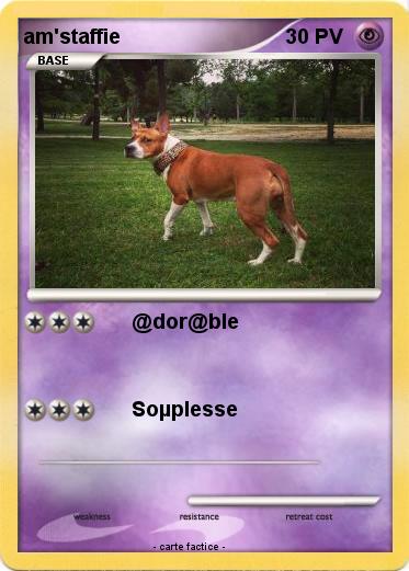 Pokemon am'staffie