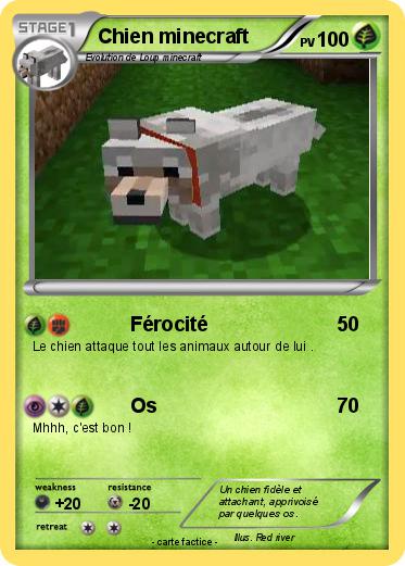 Pokemon Chien minecraft