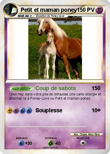 Pokemon Petit et maman poney