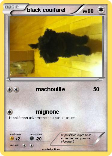Pokemon black couifarel