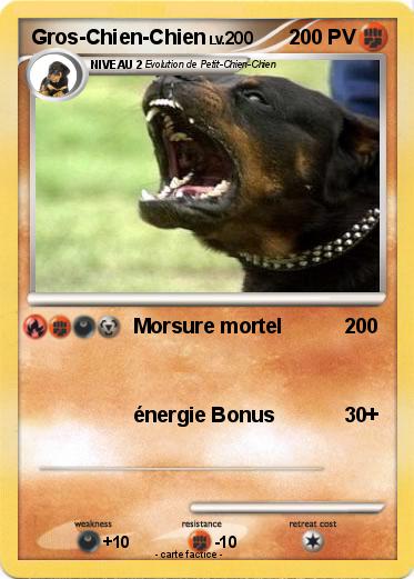 Pokemon Gros-Chien-Chien
