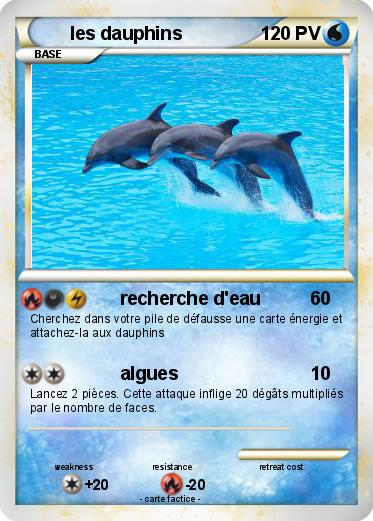 Pokemon les dauphins