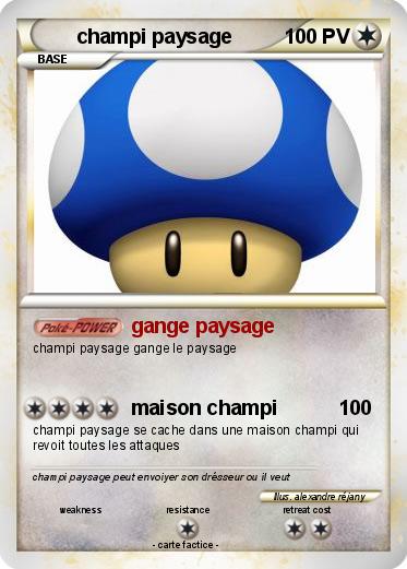 Pokemon champi paysage
