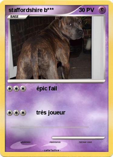 Pokemon staffordshire b***