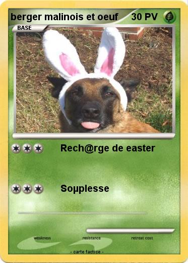 Pokemon berger malinois et oeuf