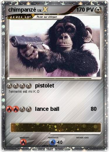 Pokemon chimpanzé