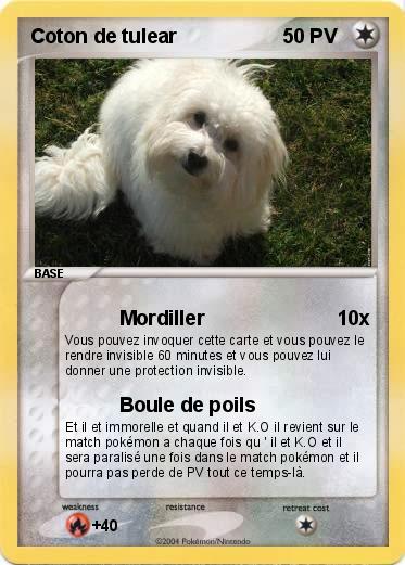 Pokemon Coton de tulear