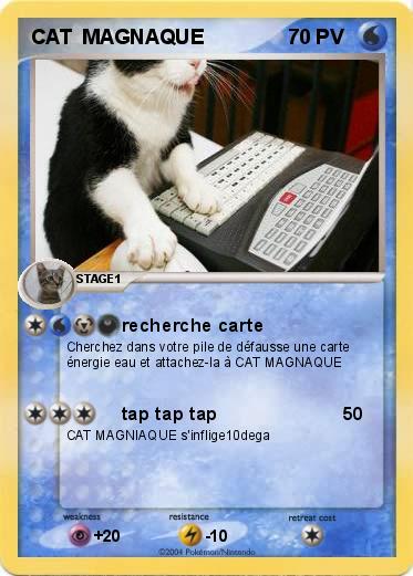 Pokemon CAT  MAGNAQUE
