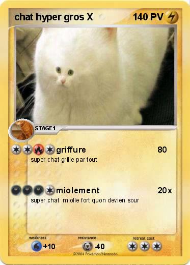 Pokemon chat hyper gros X