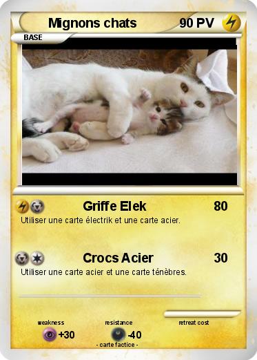 Pokemon Mignons chats