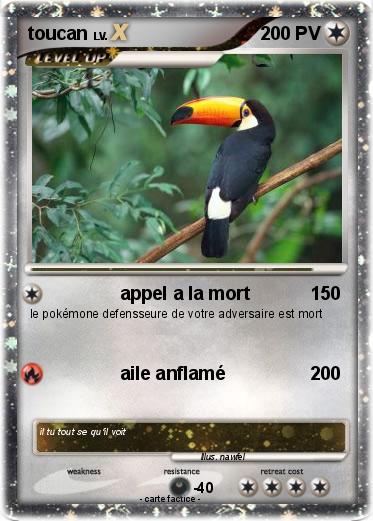 Pokemon toucan