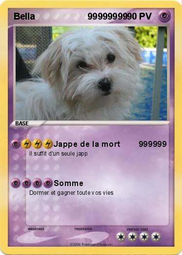 Pokemon Bella                     99999999