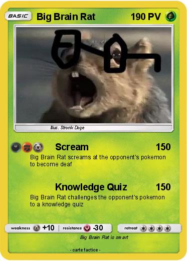 Pokemon Big Brain Rat