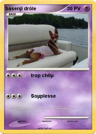 Pokemon basenji drôle