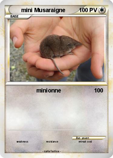 Pokemon mini Musaraigne
